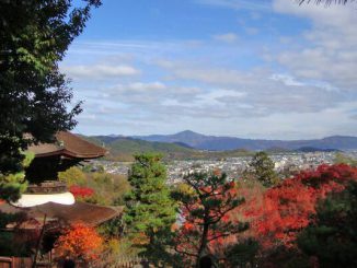 今回は紅葉の名所が密集するという「奥嵯峨」の中でも特に英さんおすすめの4か所を紹介しています。