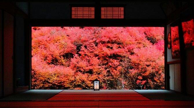 画像出典：じゃらん観光ガイド（ https://www.jalan.net/kankou/ ）うっとりするほど紅葉が鮮やかな季節になりました。ぜひお出かけになってみたらいかがでしょうか。